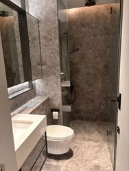 Cuscaden Reserve (D10), Condominium #608141271